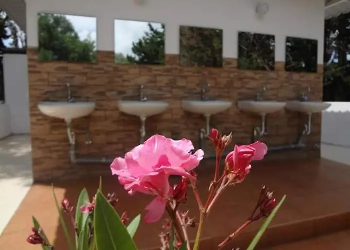 营地 Camping Argostoli 阿尔戈斯托利翁