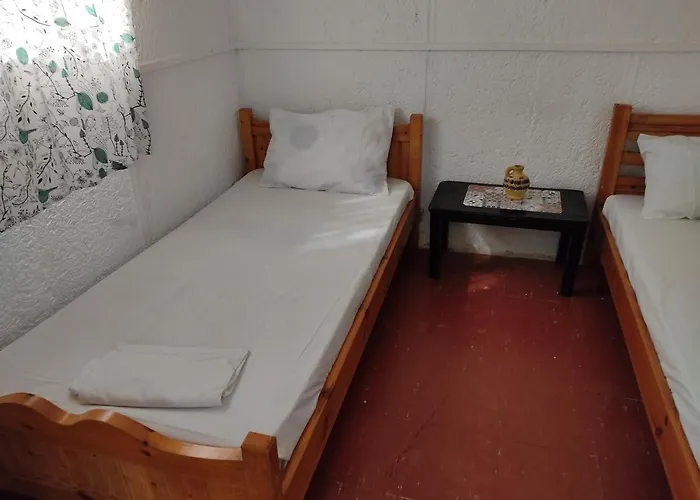 营地 Camping Argostoli *