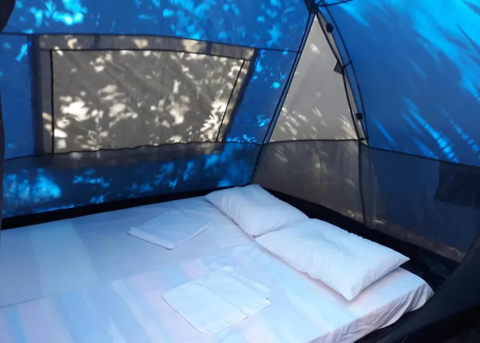 Camping Argostoli * 阿尔戈斯托利翁