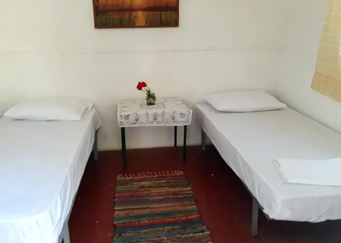 营地 Camping Argostoli *